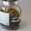 Pot de curing Cannabis CBD