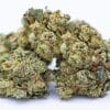 Grossiste fleur CBD Montana Bio