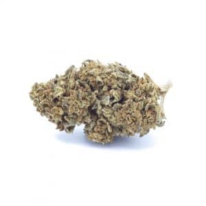 Grossiste fleur cbd cannabis légal Strawberry