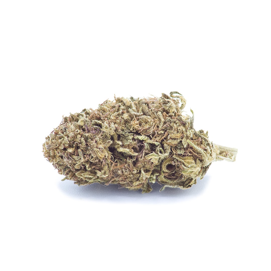 Grossiste fleur cbd cannabis légal Shiva