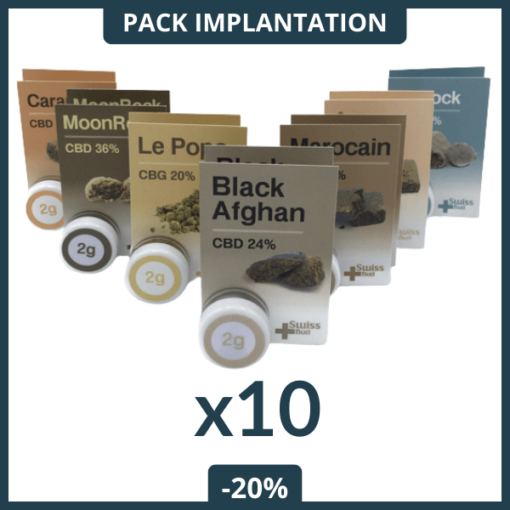 Pack Implantation hash CBD - Bureau Tabac - SwissBud®