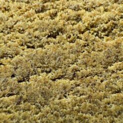 Grossiste resines CBD - 3x Filtre CBD France
