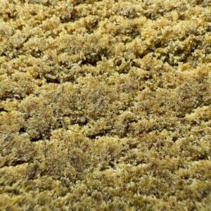 Grossiste resines CBD - 3x Filtre CBD France