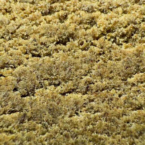 Grossiste resines CBD - 3x Filtre CBD France