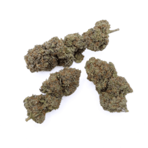 Critical + 2.0 - Indoor Hydro