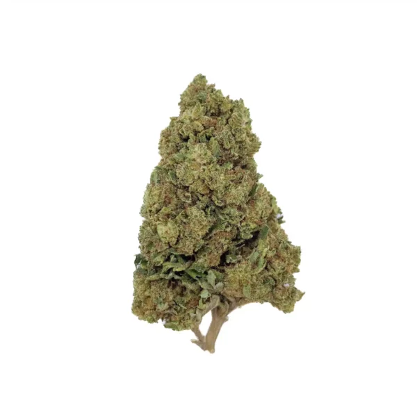 BZ1 CBD - France - Outdoor
