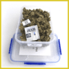 pack de 6 variétés de CBD Indoor Hydro Mango Kush