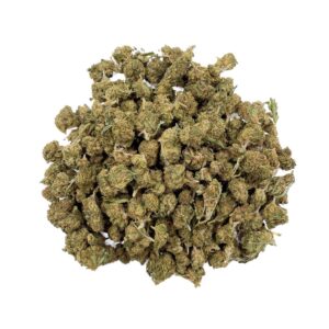 Lemon Haze CBD - Small Bud - Glass-House