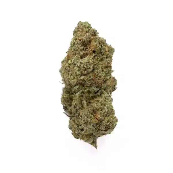 Sunset Sherbet - Indoor Hydro