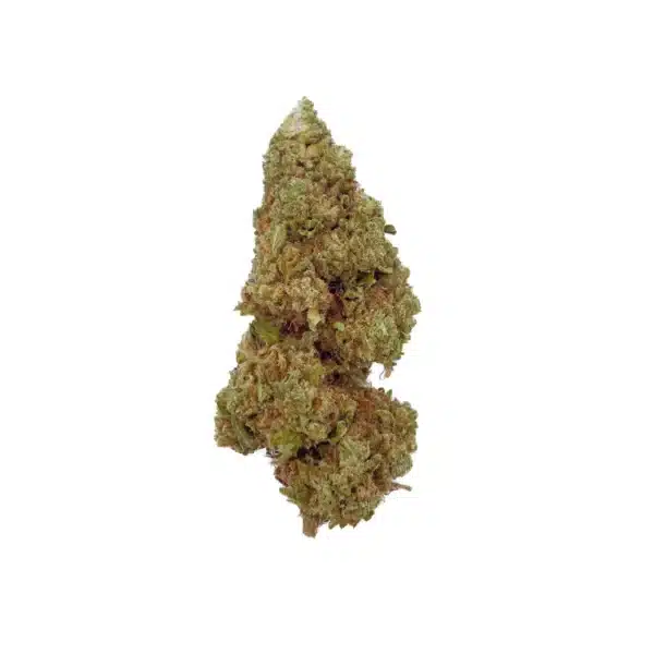 Grossiste Fleurs CBD Orange Bud – Glass-House