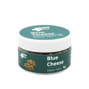 Blue Cheese Indoor Hydro - 5gr - SwissBud