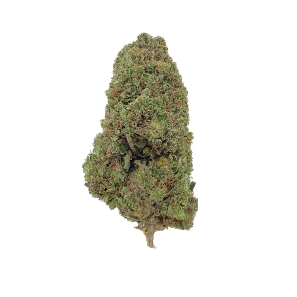 Grossiste Fleur CBD - Biscotti