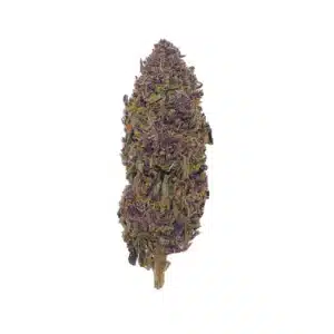 Grossiste Fleur CBD - Purple Haze