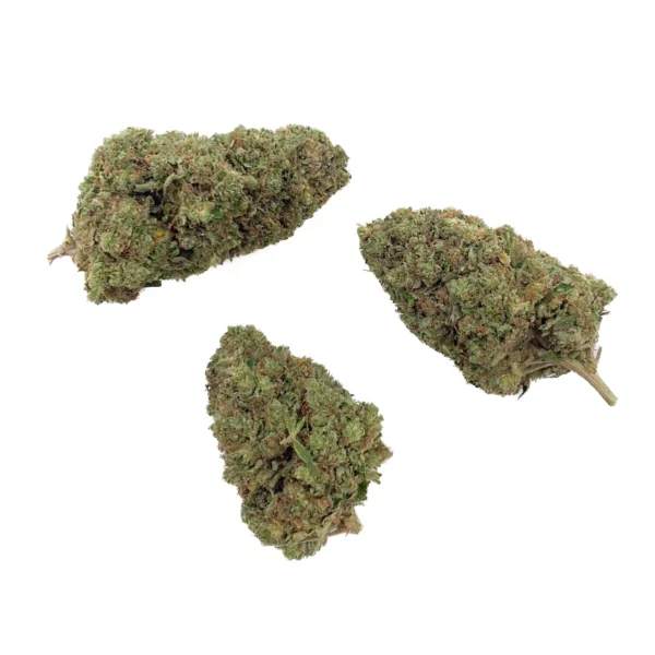 Grossiste Fleur CBD - Biscotti