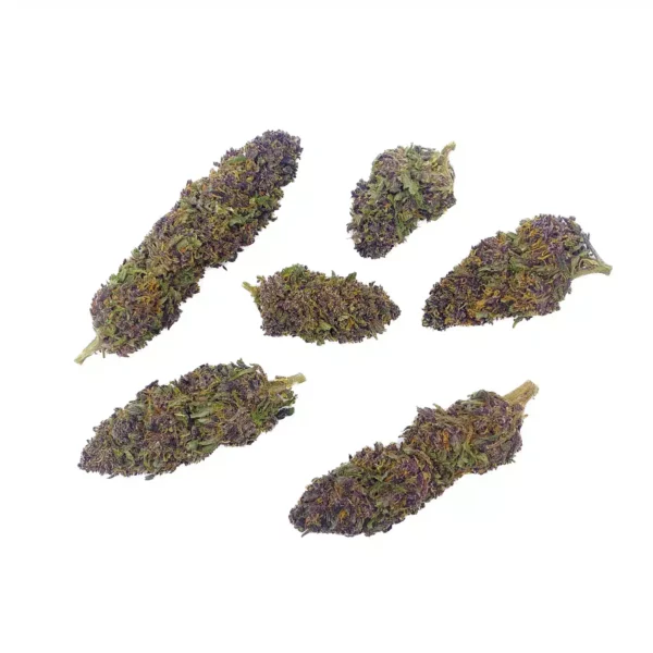 Grossiste Fleur CBD - Purple Haze
