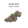 Pack Glass House fleurs CBD Purple Haze