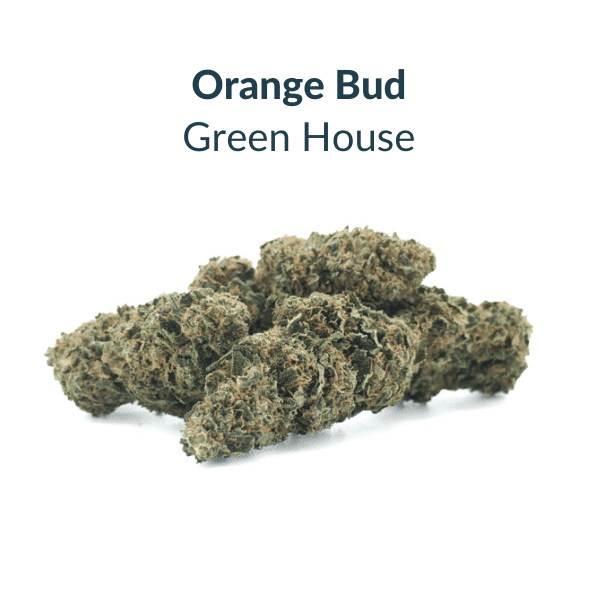 Pack Green House Orange Bud