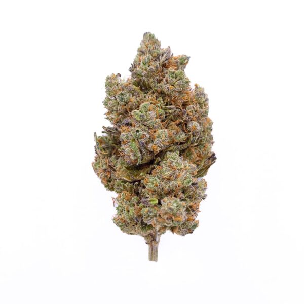 Grossiste Blackberry Kush CBD - Indoor Hydro