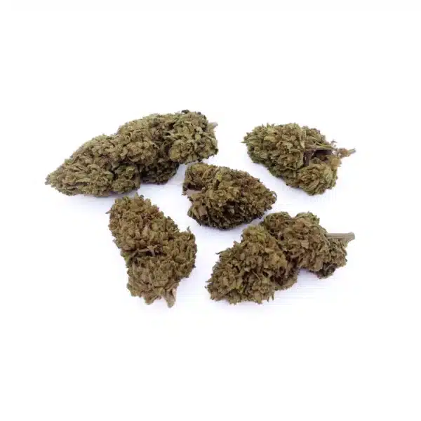 Fleurs CBD Française Blueberry Cheese - Outdoor