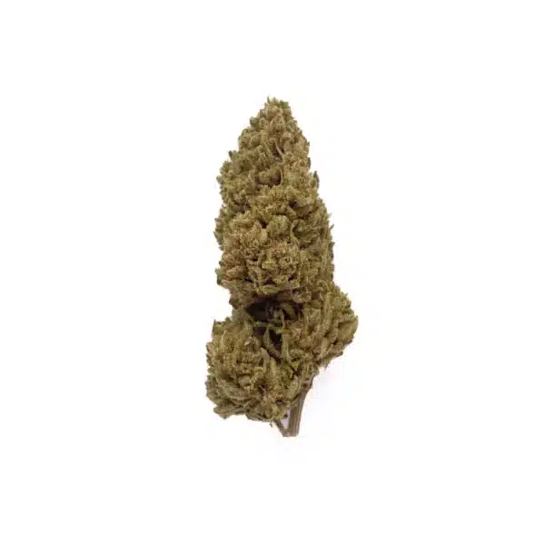 Fleurs CBD Française Blueberry Cheese - Outdoor