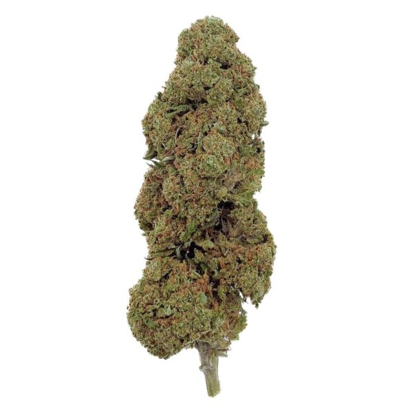 Super Skunk CBD - Bud Mix - Glass House