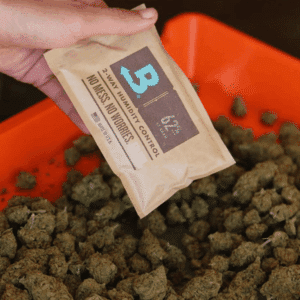 Boveda 62% de 67gr + display (sachets indiv.)