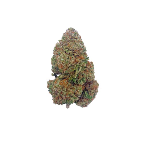 Grossiste Fleur CBD Girl Scout Cookies CBD - Indoor