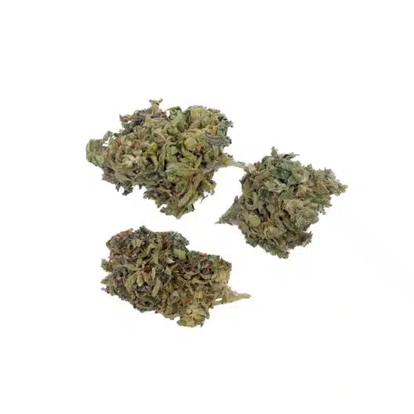 Grossiste - Mango 15% H4CBD - 5% CBN - Outdoor