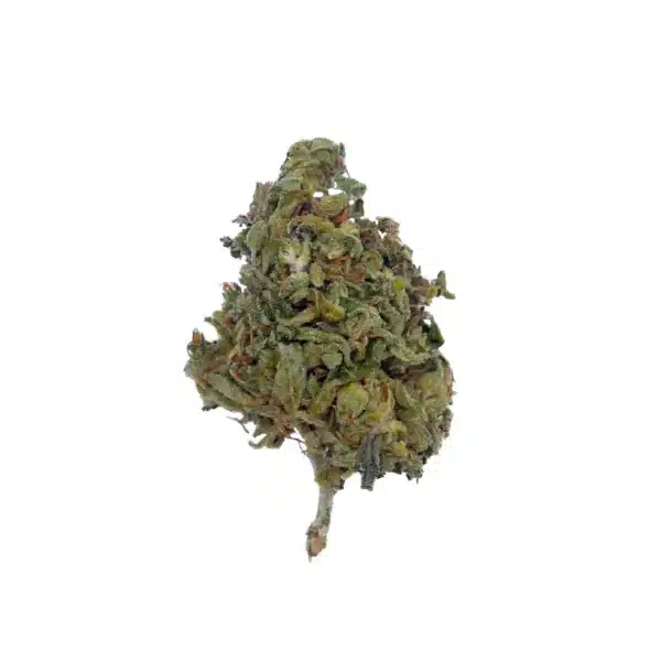 Grossiste - Mango 15% H4CBD - 5% CBN - Outdoor
