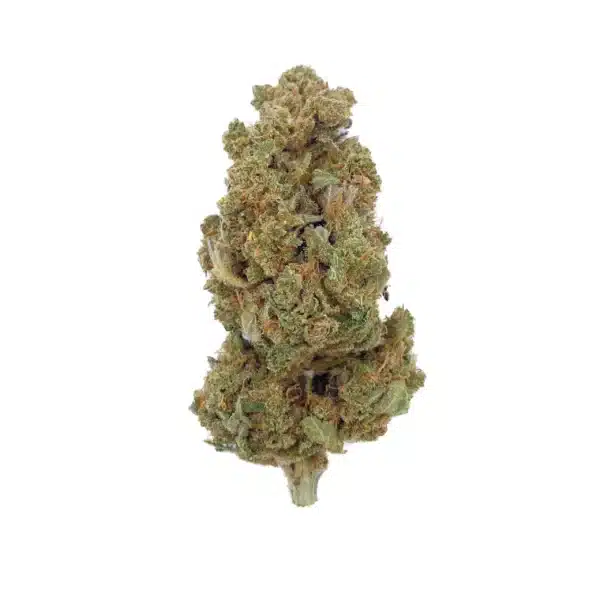 Grossiste - Wedding Crusher - Indoor