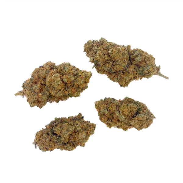 Grossiste - Fleur CBD - Blueberry - Indoor