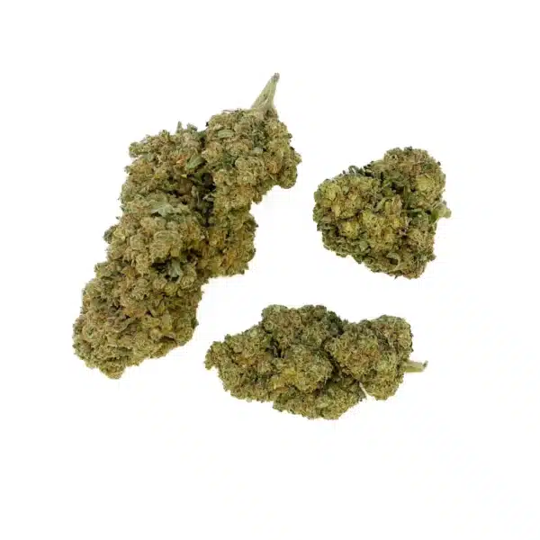 Grossiste - Fleur CBD - G13 Haze - Indoor