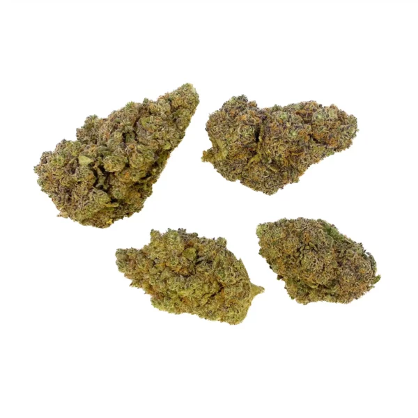 Grossiste - Purple Punch - Indoor