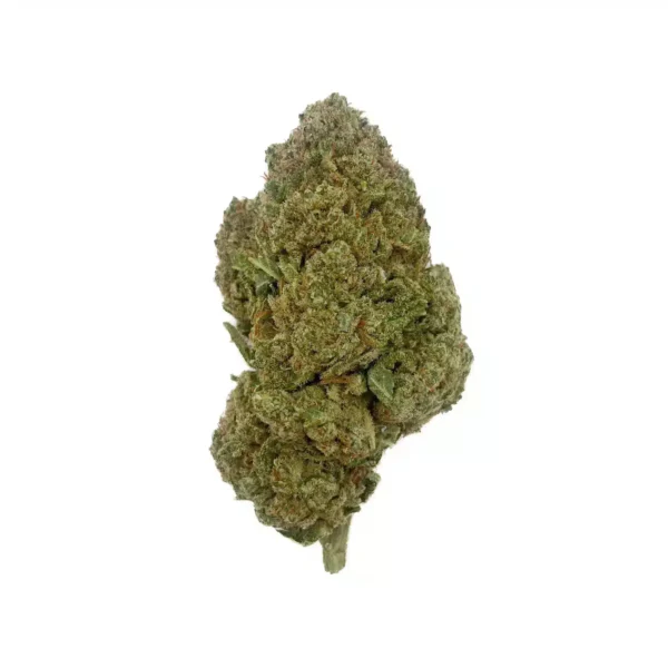 Grossiste - Critical Kush - Indoor Hydro