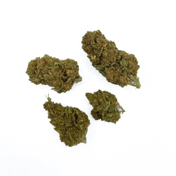 Grossiste - Jack Herer - HHCPO 5% - Outdoor