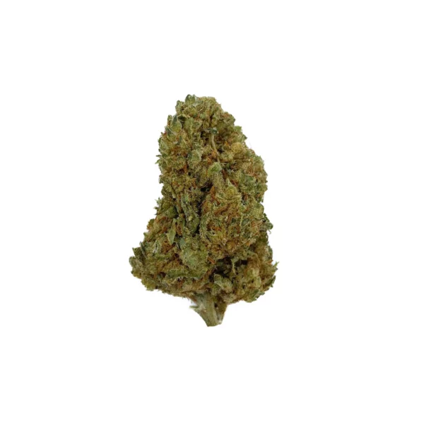 Grossiste - Jack Herer - HHCPO 5% - Outdoor