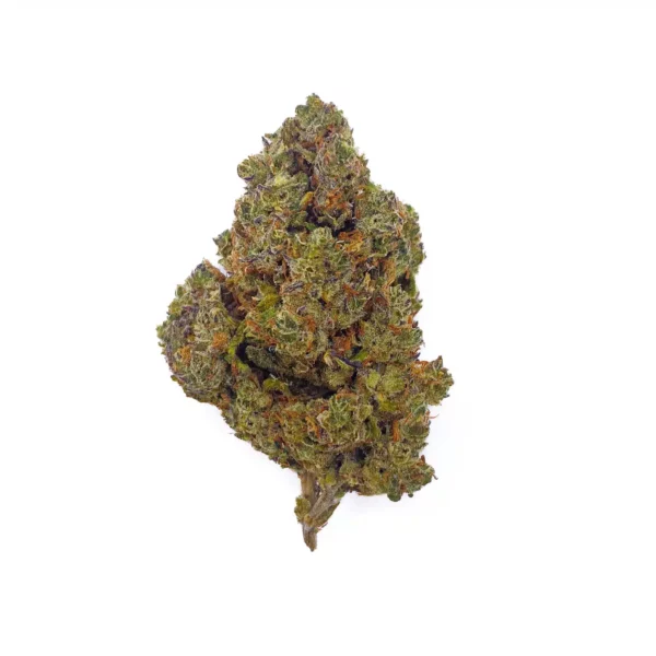 Grossiste - Blackberry Kush - HHCPO 7% - Indoor Hydro