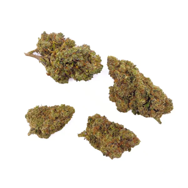 Grossiste - Blackberry Kush - HHCPO 7% - Indoor Hydro