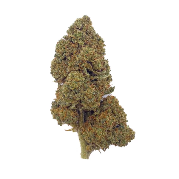 Grossiste Fleurs CBD Fruit Cake - Glass-House