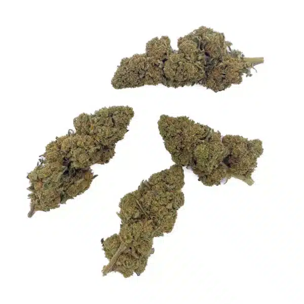 Grossiste Fleurs CBD Fruit Cake - Glass-House
