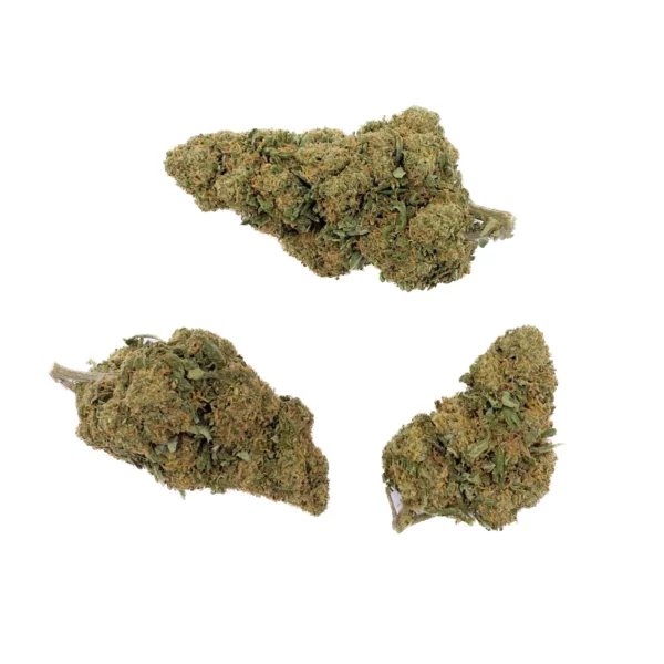 Grossiste - Jack Herer CBD - Glass-House