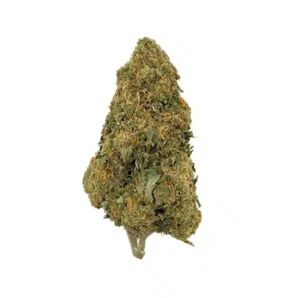 Grossiste - Jack Herer CBD - Glass-House
