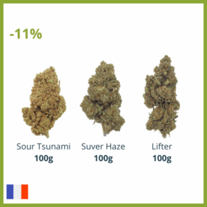 Pack Starter Green-House OCCITANIE