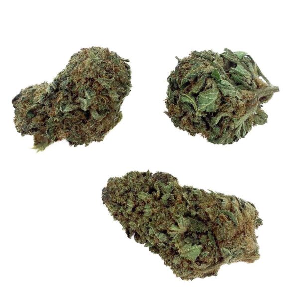 Grossiste - Gelato CBD - Bud Mix - Green-house