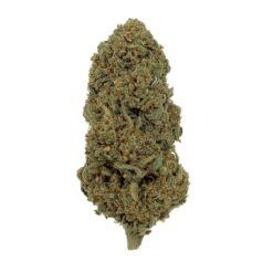 Grossiste Fleur CBD - Orange Bud CBD - Bud Mix - Glass-House