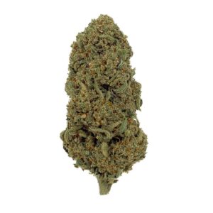 Grossiste Fleur CBD - Orange Bud CBD - Bud Mix - Glass-House