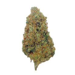 Grossiste CBD Charlotte’s Angel CBD - Big Bud - Indoor Hydro