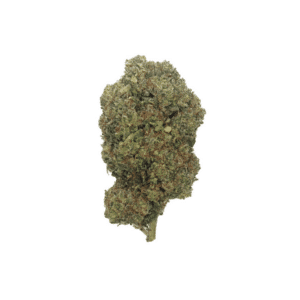 Grossiste - Critical+ 2.0 - 10% THCPO - Indoor-Hydro