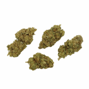 Grossiste - Super Lemon Haze - Glass-House