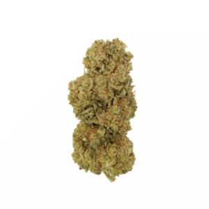 Super Lemon Haze - Glass-House